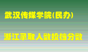 武汉传媒学院2021年在浙江招生计划录取人数投档分数线