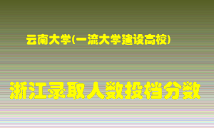 云南大学2021年在浙江招生计划录取人数投档分数线