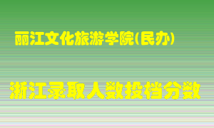 丽江文化旅游学院2021年在浙江招生计划录取人数投档分数线