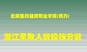 云南医药健康职业学院2021年在浙江招生计划录取人数投档分数线