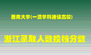 西藏大学2021年在浙江招生计划录取人数投档分数线