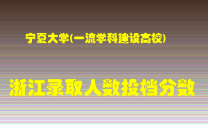 宁夏大学2021年在浙江招生计划录取人数投档分数线