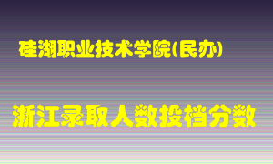 硅湖职业技术学院2021年在浙江招生计划录取人数投档分数线