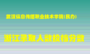 武汉信息传播职业技术学院2021年在浙江招生计划录取人数投档分数线