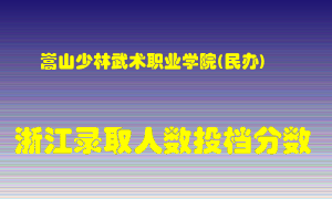 嵩山少林武术职业学院2021年在浙江招生计划录取人数投档分数线