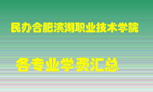 民办合肥滨湖职业技术学院学费多少？各专业学费多少