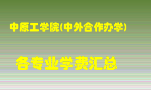 中原工学院(中外合作办学)学费多少？各专业学费多少