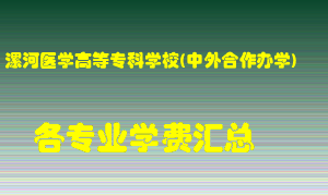 漯河医学高等专科学校(中外合作办学)学费多少？各专业学费多少