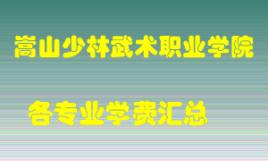 嵩山少林武术职业学院学费多少？各专业学费多少