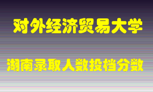 对外经济贸易大学在湖南历年招生计划录取人数投档分数