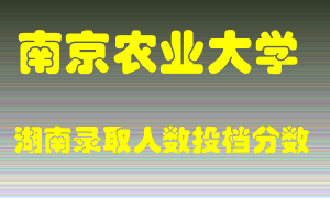 南京农业大学在湖南历年招生计划录取人数投档分数