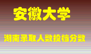 安徽大学在湖南历年招生计划录取人数投档分数