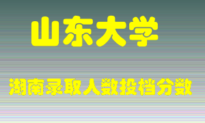 山东大学在湖南历年招生计划录取人数投档分数