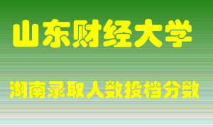 山东财经大学在湖南历年招生计划录取人数投档分数