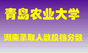 青岛农业大学在湖南历年招生计划录取人数投档分数