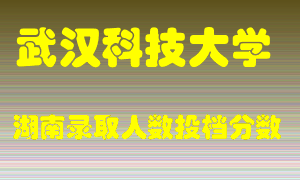 武汉科技大学在湖南历年招生计划录取人数投档分数