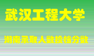 武汉工程大学在湖南历年招生计划录取人数投档分数