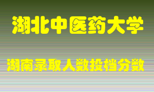 湖北中医药大学在湖南历年招生计划录取人数投档分数