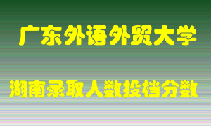 广东外语外贸大学在湖南历年招生计划录取人数投档分数