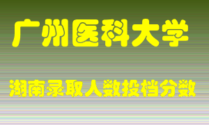 广州医科大学在湖南历年招生计划录取人数投档分数