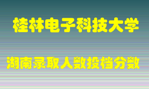 桂林电子科技大学在湖南历年招生计划录取人数投档分数