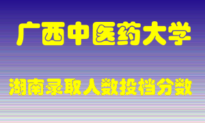 广西中医药大学在湖南历年招生计划录取人数投档分数