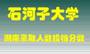 石河子大学在湖南历年招生计划录取人数投档分数