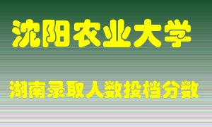 沈阳农业大学在湖南历年招生计划录取人数投档分数