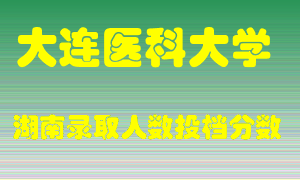 大连医科大学在湖南历年招生计划录取人数投档分数