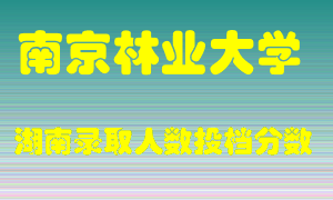 南京林业大学在湖南历年招生计划录取人数投档分数