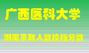 广西医科大学在湖南历年招生计划录取人数投档分数