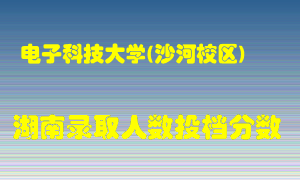 电子科技大学在湖南历年招生计划录取人数投档分数