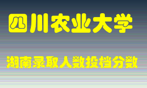 四川农业大学在湖南历年招生计划录取人数投档分数