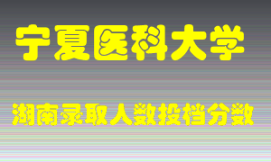 宁夏医科大学在湖南历年招生计划录取人数投档分数