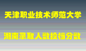 天津职业技术师范大学在湖南历年招生计划录取人数投档分数