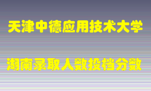 天津中德应用技术大学在湖南历年招生计划录取人数投档分数