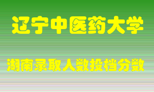 辽宁中医药大学在湖南历年招生计划录取人数投档分数