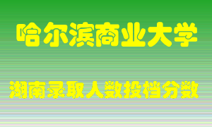 哈尔滨商业大学在湖南历年招生计划录取人数投档分数