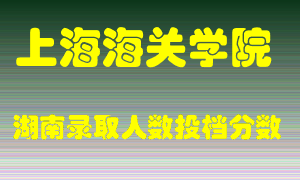 上海海关学院在湖南历年招生计划录取人数投档分数