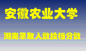 安徽农业大学在湖南历年招生计划录取人数投档分数