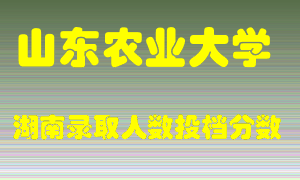 山东农业大学在湖南历年招生计划录取人数投档分数