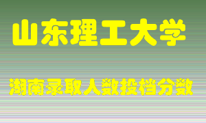 山东理工大学在湖南历年招生计划录取人数投档分数