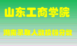 山东工商学院在湖南历年招生计划录取人数投档分数