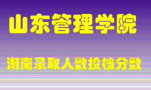 山东管理学院在湖南历年招生计划录取人数投档分数