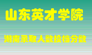 山东英才学院在湖南历年招生计划录取人数投档分数