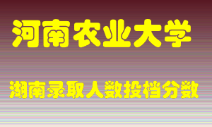 河南农业大学在湖南历年招生计划录取人数投档分数