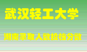 武汉轻工大学在湖南历年招生计划录取人数投档分数