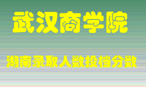 武汉商学院在湖南历年招生计划录取人数投档分数