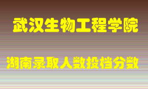 武汉生物工程学院在湖南历年招生计划录取人数投档分数