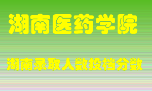 湖南医药学院在湖南历年招生计划录取人数投档分数